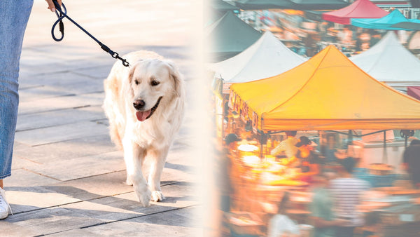 Enjoying Outdoor Markets with Your Dog: Tips for a Safe and Fun Experience