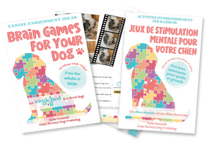 Brain Games For Your Dog