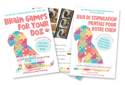 Fun Brain Games for Your Dog