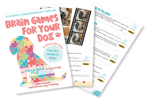 Canine Enrichment for your dog. Brain games ideas